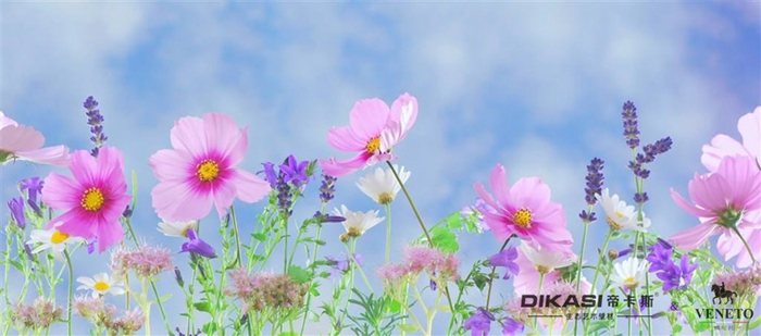 植樹節(jié)|春風(fēng)十里，不如一片綠意